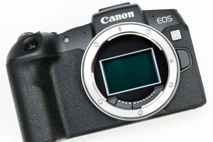 Canon EOS RP実写レビュー。初心者が気軽に使えるエントリーフルサイズミラーレス一眼が誕生 - Rentio PRESS[レンティオプレス]