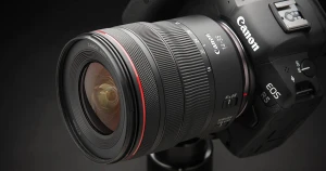 キヤノン「RF14-35mm F4 L IS USM」実写レビュー 描写もサイズも不満なし！