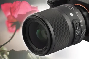 【実写レビュー】精鋭揃いの35mmレンズ新たな1本はバランスの良さが光る！ SIGMA 35mm F1.4 DG DN | Art