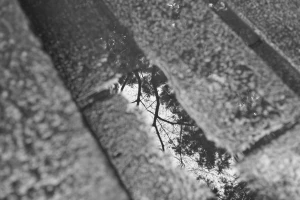 【Nikon D700＋AI AF NIKKOR 35mm f/2D】ちょっと古い単焦点レンズでいろいろ撮影｜作例5枚