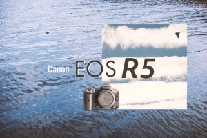 キヤノンEOS R5レビュー、ミラーレスで手ブレ補正新時代の幕開け。 | ZINEえぬたな