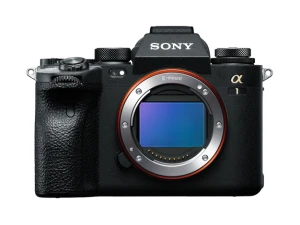 α1 image