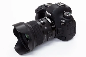 SIGMA 24mm F1.4 DG HSM Art実写レビュー。解像力と「青」の表現力に優れた広角単焦点レンズ - Rentio PRESS[レンティオプレス]