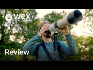 Review | Canon RF 200-800mm f6.3-9 USM Lens