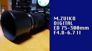 オリンパスED 75-300mm F4.8-6.7 IIレビュー｜野鳥撮影に便利な望遠レンズ | たいしょんブログ