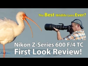 NEW Nikon 600mm TC Z-Series First Look Field Review!