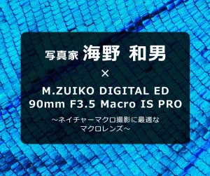 写真家 海野 和男 ～ネイチャーマクロ撮影に最適なマクロレンズ～