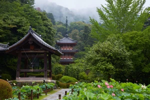 シグマ SIGMA 24-70mm F2.8 DG OS HSM Art を使ってみました ／ 京都の紫陽花と花蓮