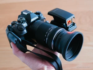 もっと評価されて良いのでは？ 3万円台の超望遠ズーム M.ZUIKO DIGITAL ED 75-300mm F4.8-6.7 II で野鳥撮影①