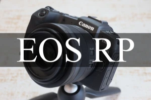 気付いたら1年以上使っている。EOS RP はそんなカメラになる気がするレビュー
