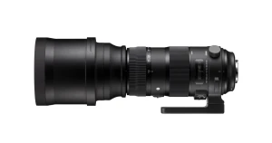 150-600mm F5-6.3 DG OS HSM Sports image