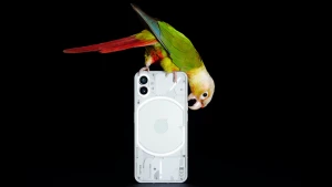 「Nothing Phone（1）」と「Google Pixel 6a」真っ二つに割れた最新スマホの評価｜@DIME アットダイム