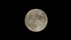 『M.ZUIKO DIGITAL ED 75-300mm F4.8-6.7 II』