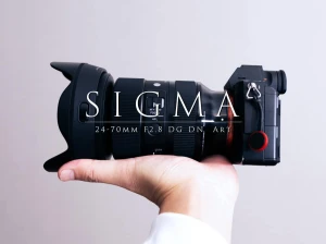 【SIGMA】24-70mm F2.8 DG DN Art をハワイで実写！ミラーレスカメラの間違いないズームレンズ！【使用レビュー】 | スカイフィッシュのドローンブログ