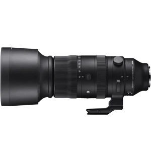 60-600mm F4.5-6.3 DG DN OS | Sports image