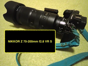 【ニコンZマウントのナナニッパ】NIKKOR Z 70-200mm f2.8 VR Sをレビュー！