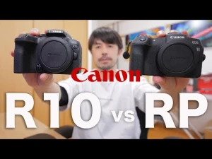 【フルサイズ？APS C？】EOS R10を買うべき人EOS RPを買うべき人をわかりやすく解説します