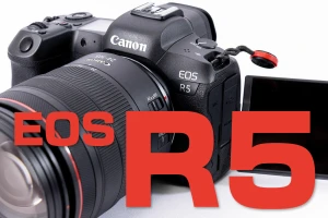 ソニー使いの私がEOS R5を買った10個の理由とファーストインプレッション