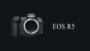 【Canon】私がEOS R5を選んだ理由
